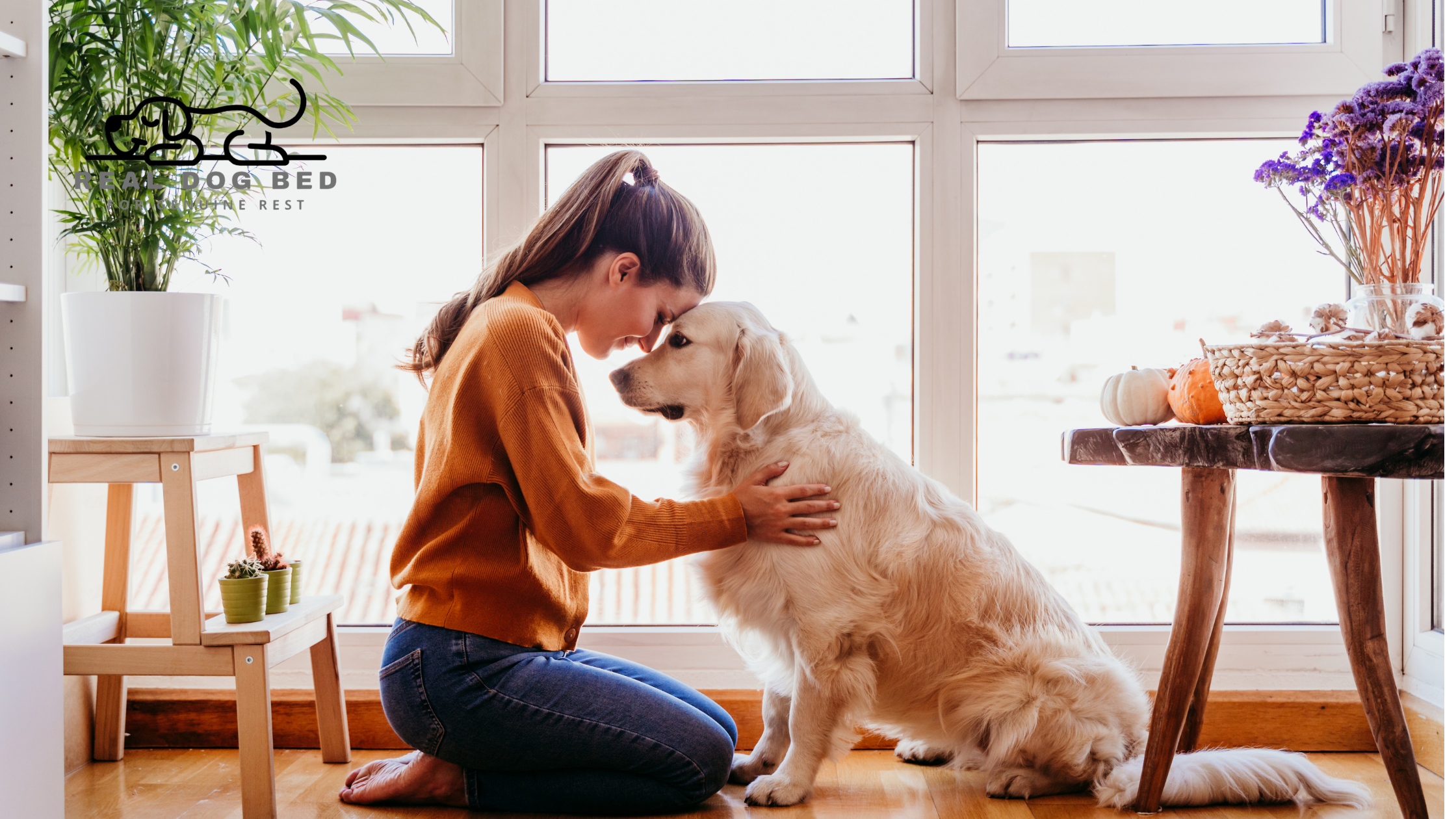 How to Help Your Rescue Dog Feel at Home Faster