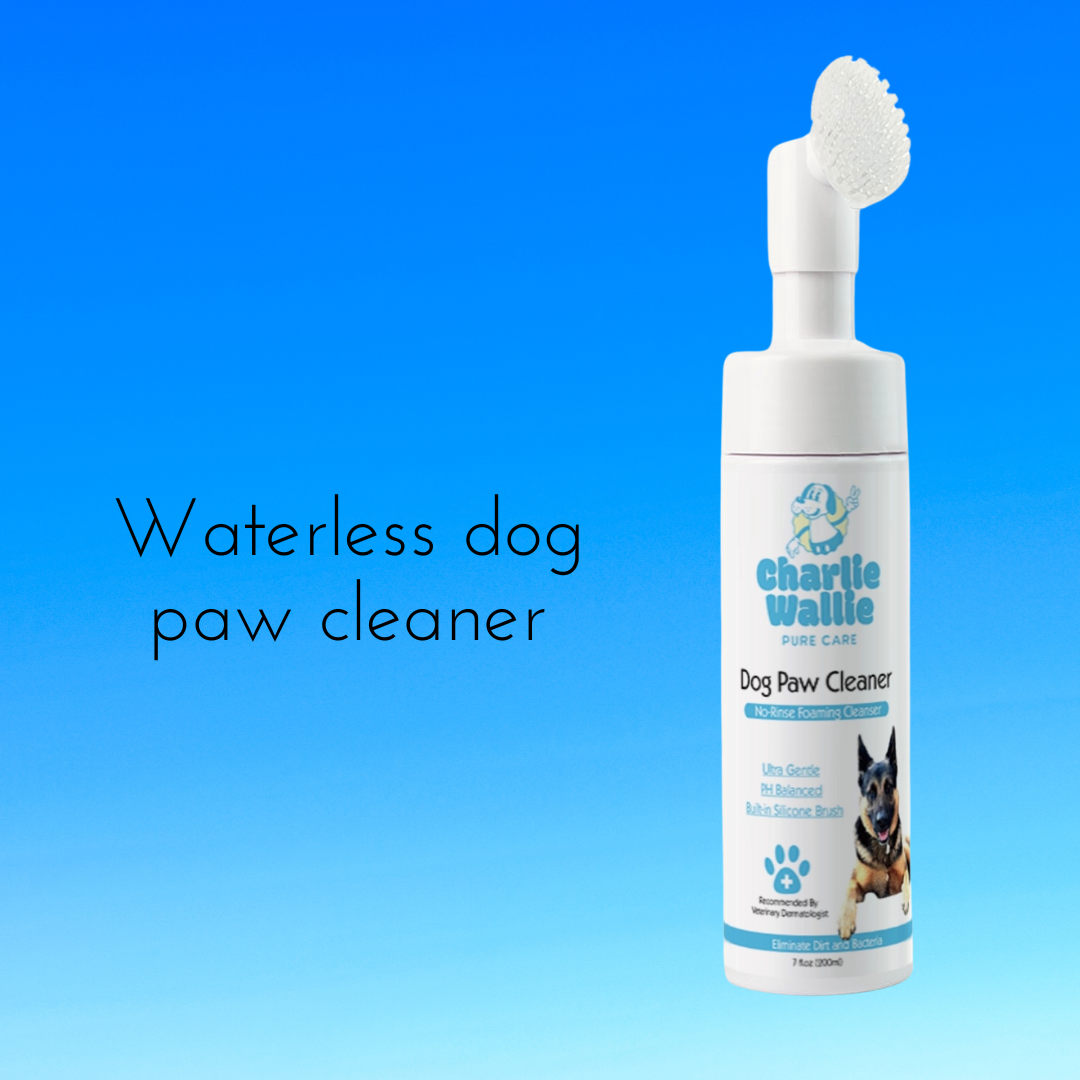 Waterless Dog Paw Cleaner by Charlie Wallie