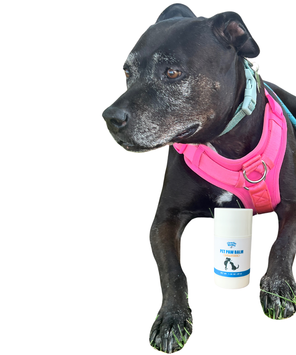 Chalie Wallie Dog Paw Balm