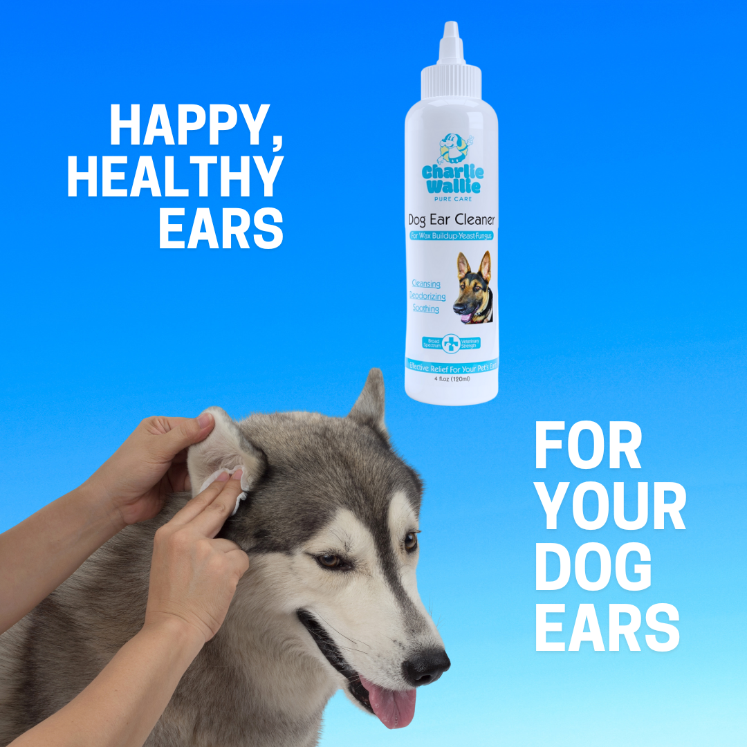 Dog Ear Cleaner