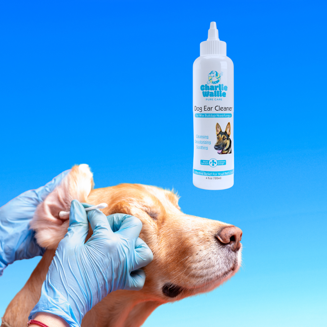 Dog Ear Cleaner